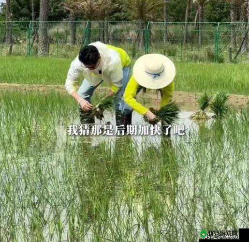 情侣24种插秧法：解锁私密新体验